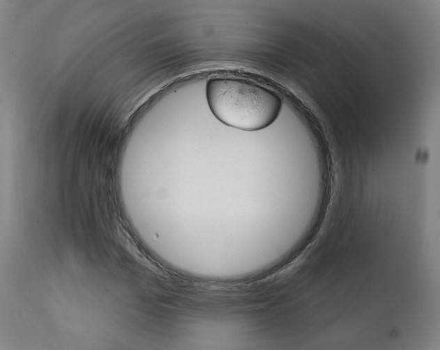 X0000111380969200907100933