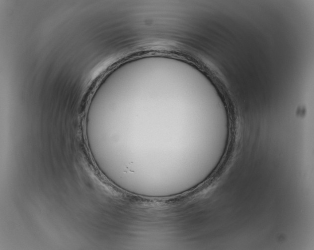 X0000111380970200907100933