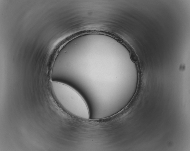 X0000111380971200907100933