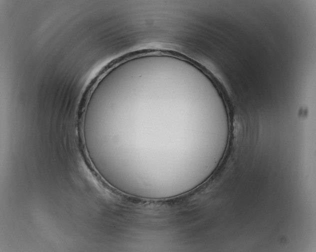 X0000111380972200907100933