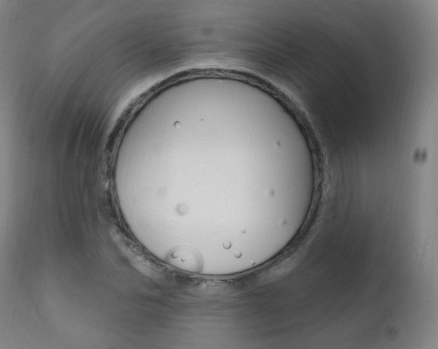 X0000111380974200907100933