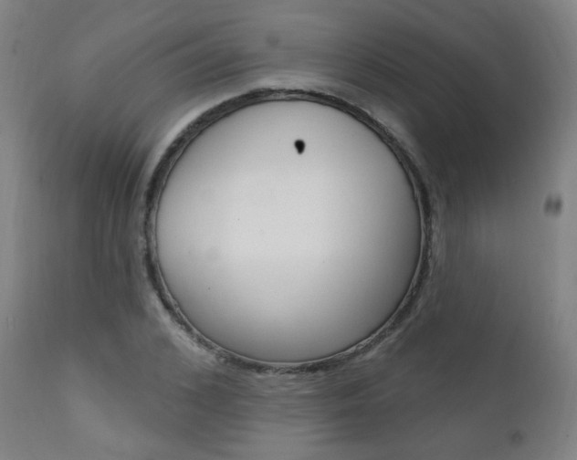 X0000111380976200907100933