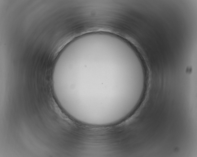 X0000111380977200907100933