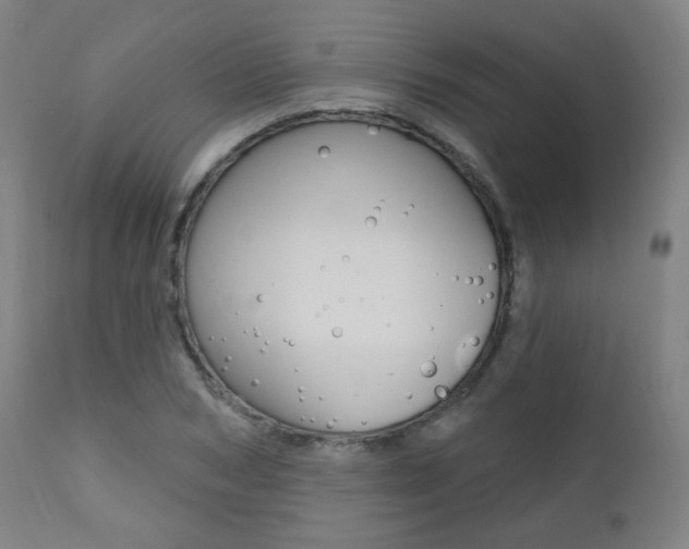 X0000111380978200907100933