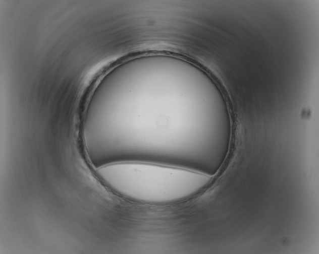 X0000111380979200907100933