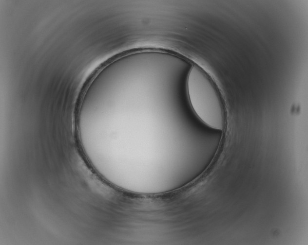 X0000111380980200907100933