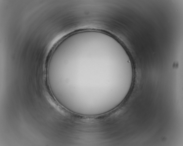 X0000111380982200907100933