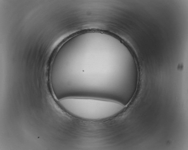 X0000111380983200907100933