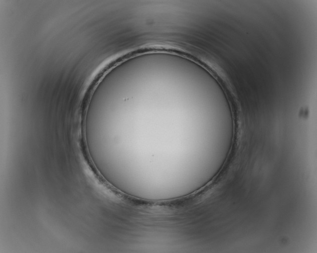 X0000111380984200907100933