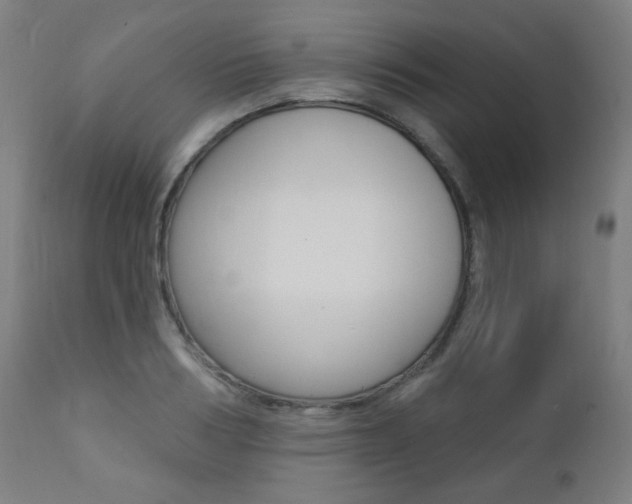 X0000111380986200907100933