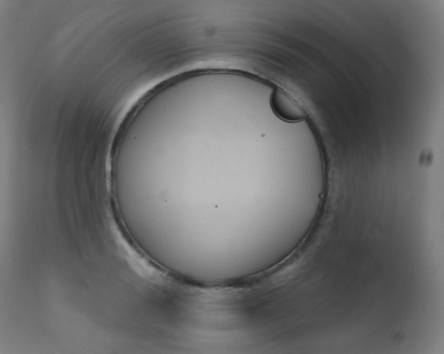 X0000111380988200907100933