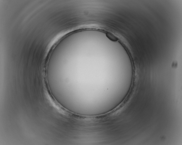 X0000111380989200907100933