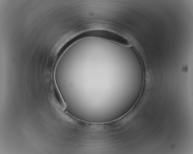 X0000111380993200907100933