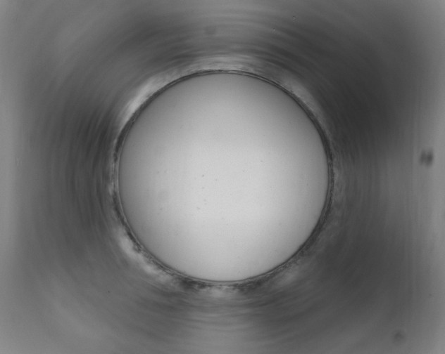 X0000111380994200907100933