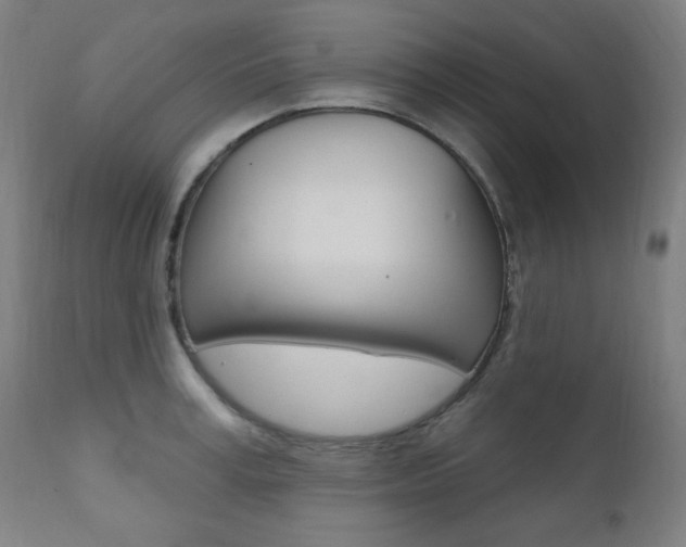 X0000111380995200907100933