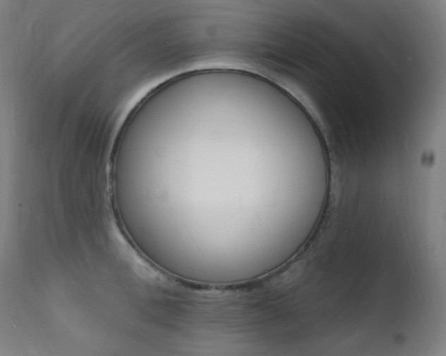 X0000111380996200907100933