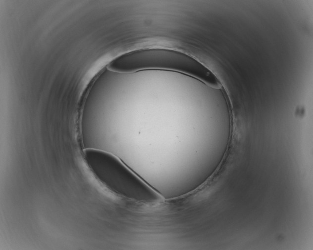 X0000111380997200907100933