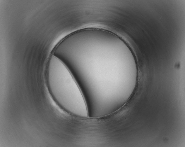 X0000111380999200907100933