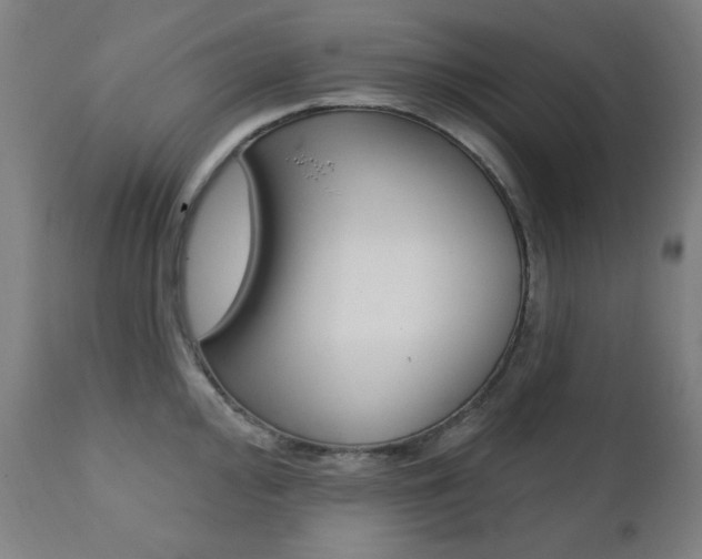 X0000111381000200907100933