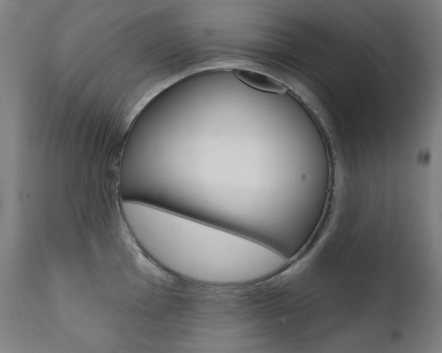 X0000111381001200907100933
