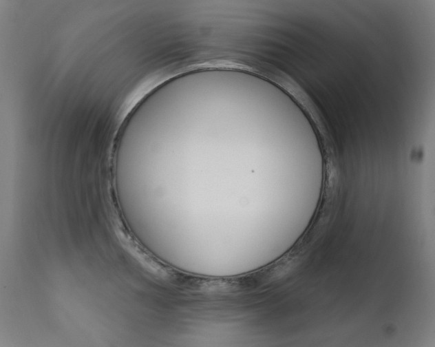 X0000111381002200907100933