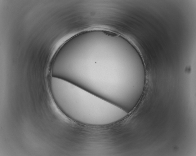 X0000111381003200907100933