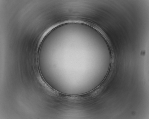 X0000111381004200907100933