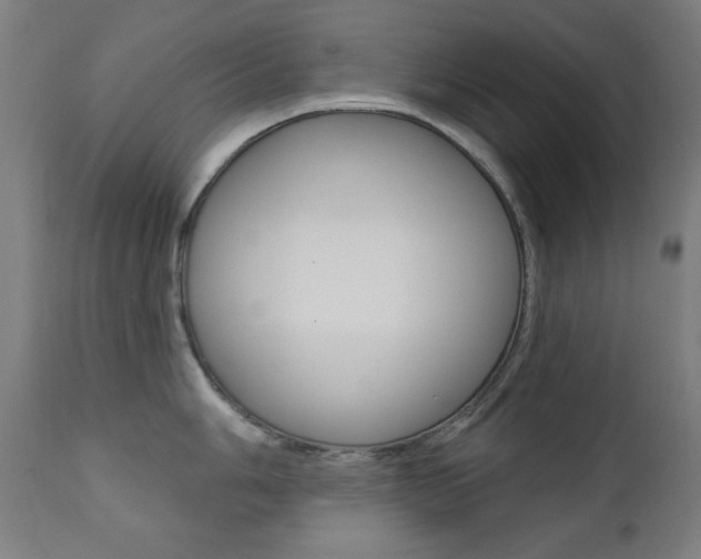 X0000111381006200907100933
