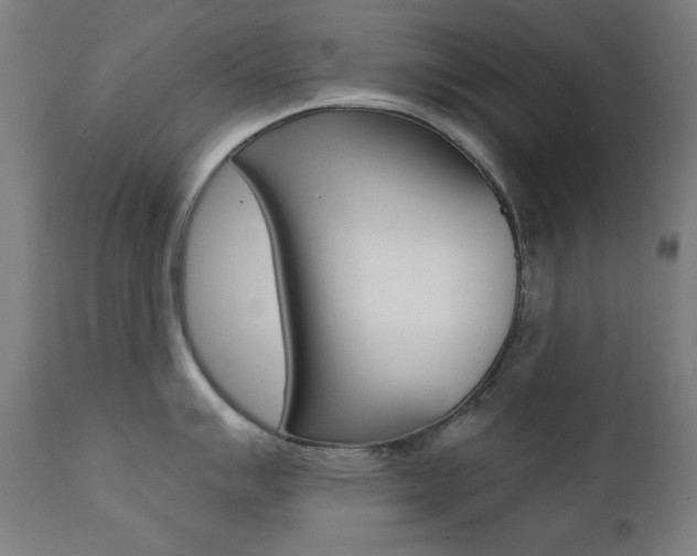 X0000111381007200907100933