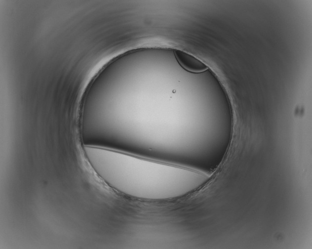 X0000111381008200907100933
