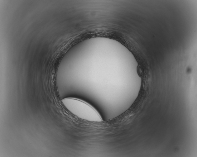 X0000111381010200907100932