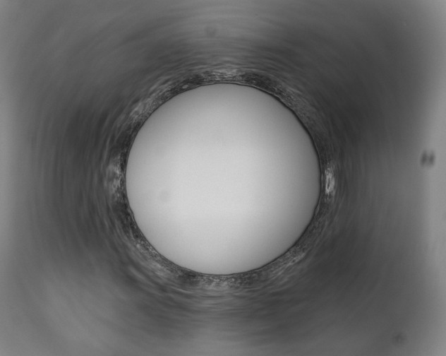 X0000111381011200907100932