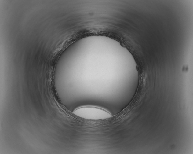 X0000111381012200907100932