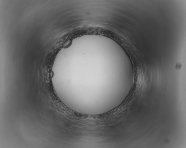X0000111381013200907100932