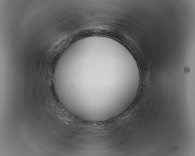 X0000111381014200907100932