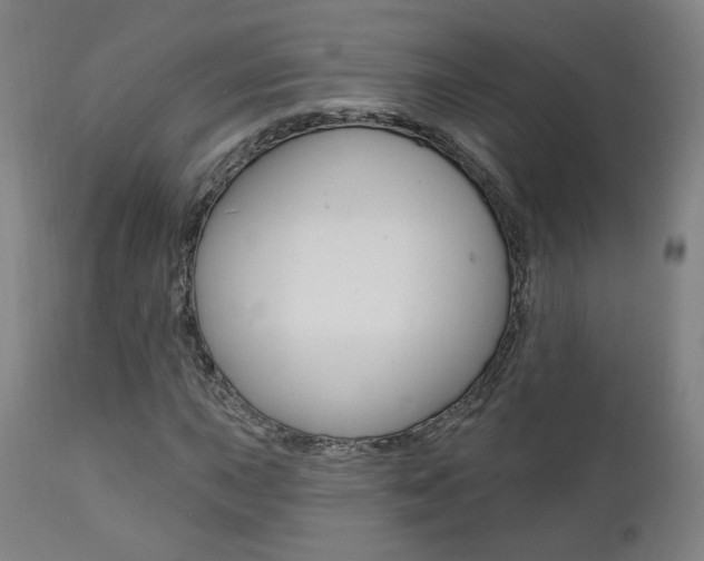 X0000111381015200907100932