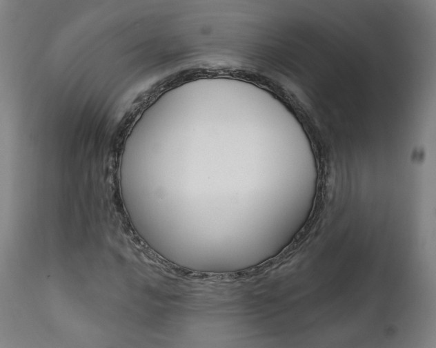 X0000111381016200907100932