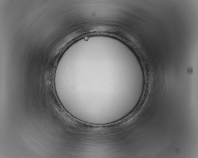 X0000111381017200907100932