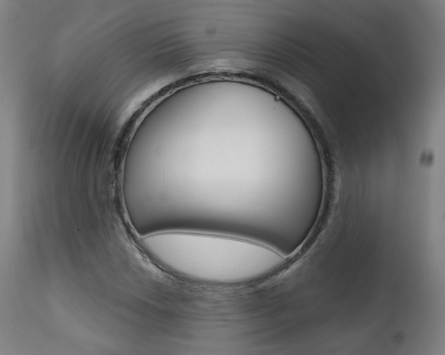 X0000111381018200907100932