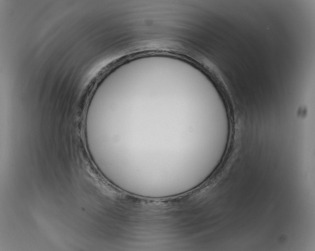 X0000111381019200907100932