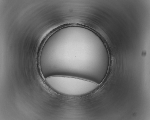 X0000111381020200907100932