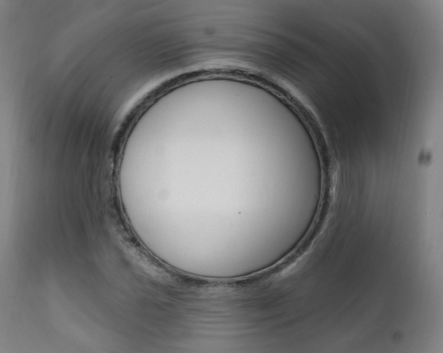 X0000111381021200907100932