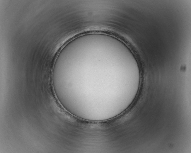 X0000111381025200907100932