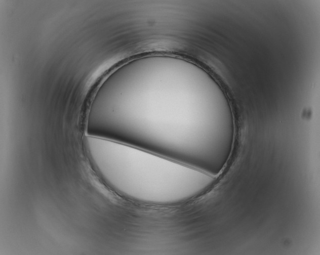 X0000111381026200907100932
