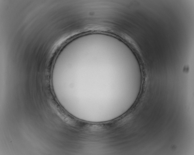 X0000111381027200907100932