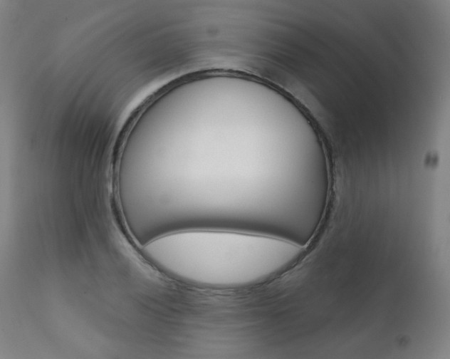 X0000111381028200907100932