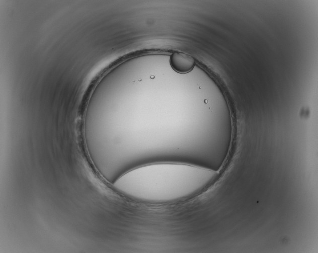 X0000111381029200907100932