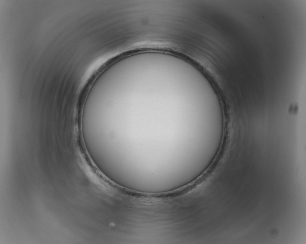 X0000111381030200907100932