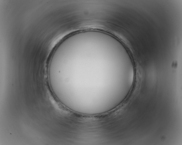 X0000111381031200907100932
