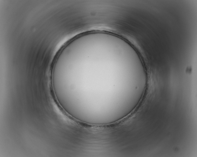 X0000111381032200907100932